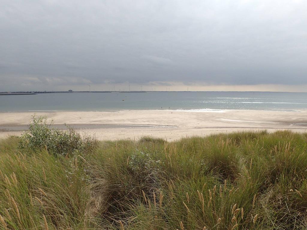 La Casa Aan Zee Leilighet Ellemeet Eksteriør bilde