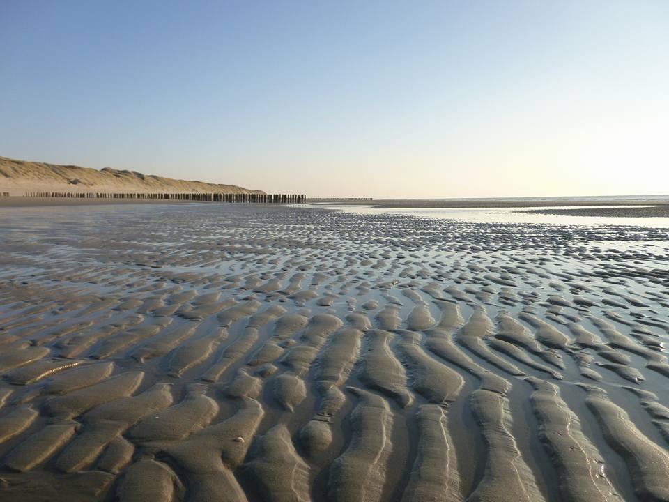 La Casa Aan Zee Leilighet Ellemeet Eksteriør bilde