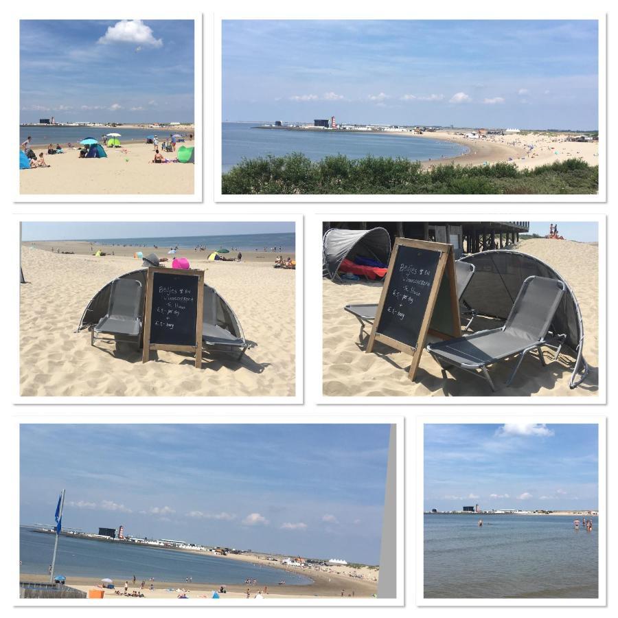 La Casa Aan Zee Leilighet Ellemeet Eksteriør bilde
