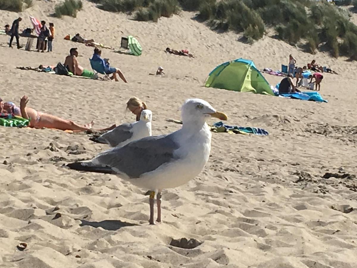 La Casa Aan Zee Leilighet Ellemeet Eksteriør bilde